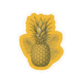 Vintage Pineapple Sticker